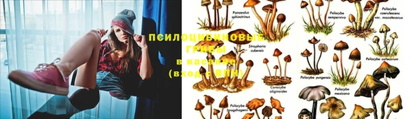 молекула духа Дмитриев