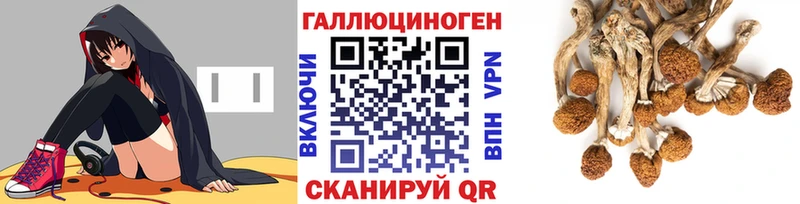 Галлюциногенные грибы Magic Shrooms  Купить  Лянтор 